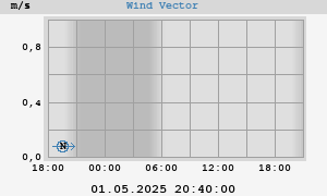 Wind Vector